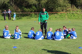 九游官网下载电脑版-欧洲杯冠军悬念：战术配合与个人能力巅峰对决，欧洲杯冠军大热门